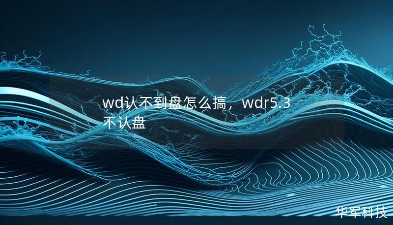 wd认不到盘怎么搞，wdr5.3不认盘