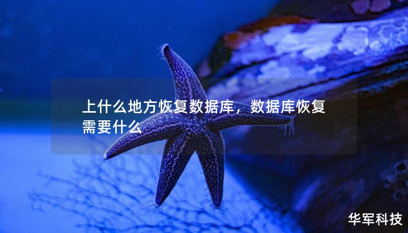 上什么地方恢复数据库，数据库恢复需要什么