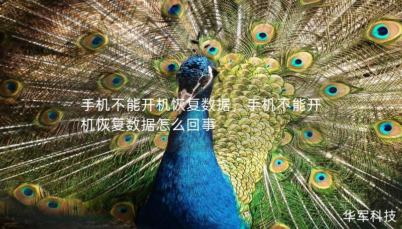 手机不能开机恢复数据，手机不能开机恢复数据怎么回事