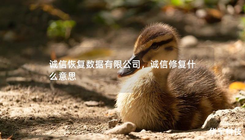 诚信恢复数据有限公司，诚信修复什么意思