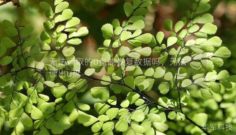 无法读取的u盘能恢复数据吗,无法读出u盘 无法读取的u盘能恢复数据吗,无法读出u盘