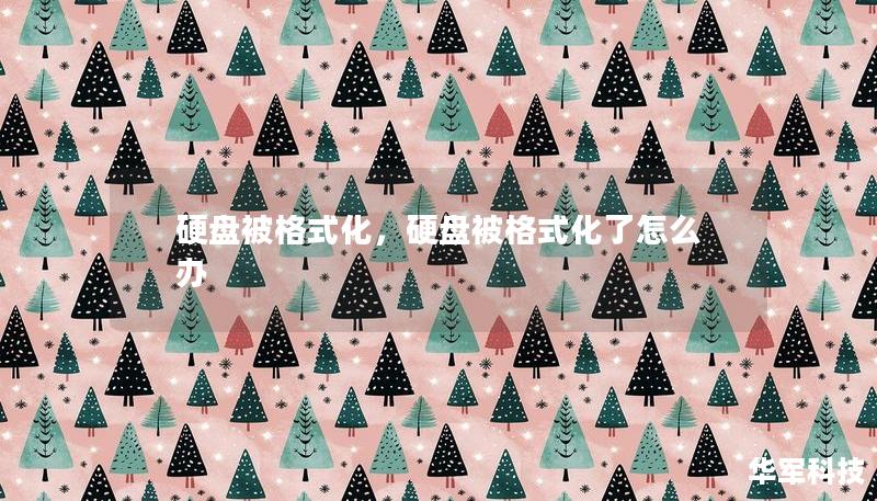 硬盘被格式化，硬盘被格式化了怎么办