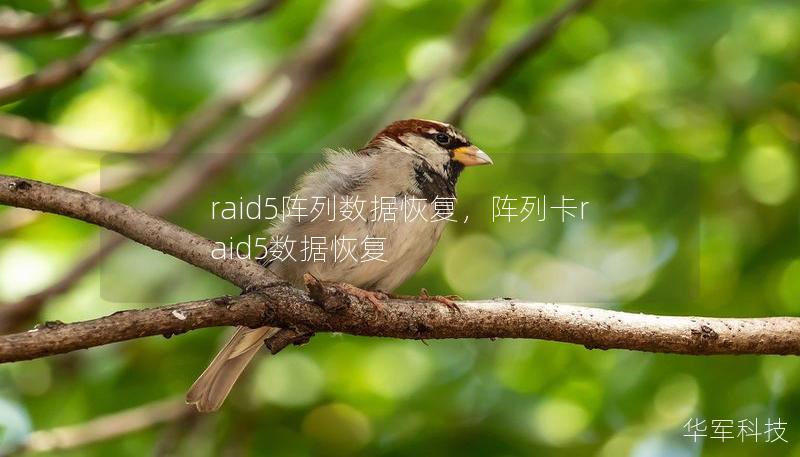 raid5阵列数据恢复，阵列卡raid5数据恢复