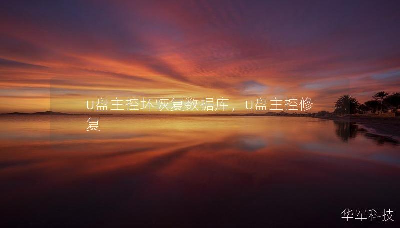 u盘主控坏恢复数据库，u盘主控修复