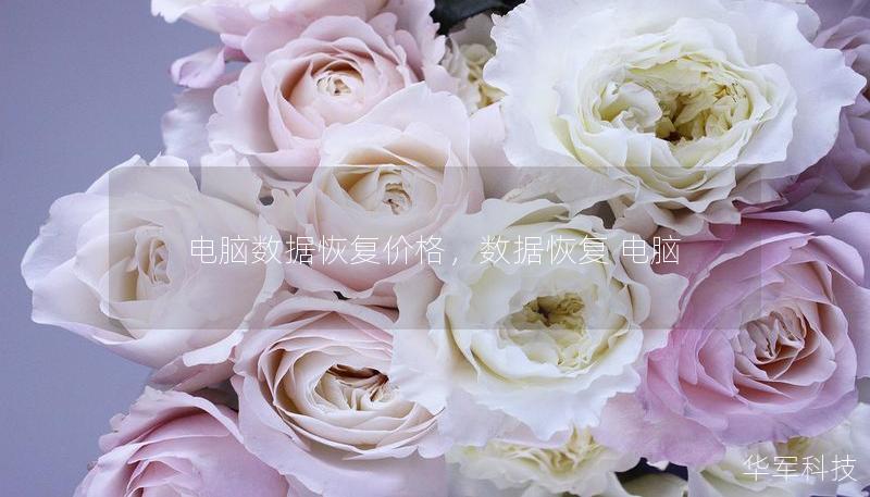 电脑数据恢复价格，数据恢复 电脑