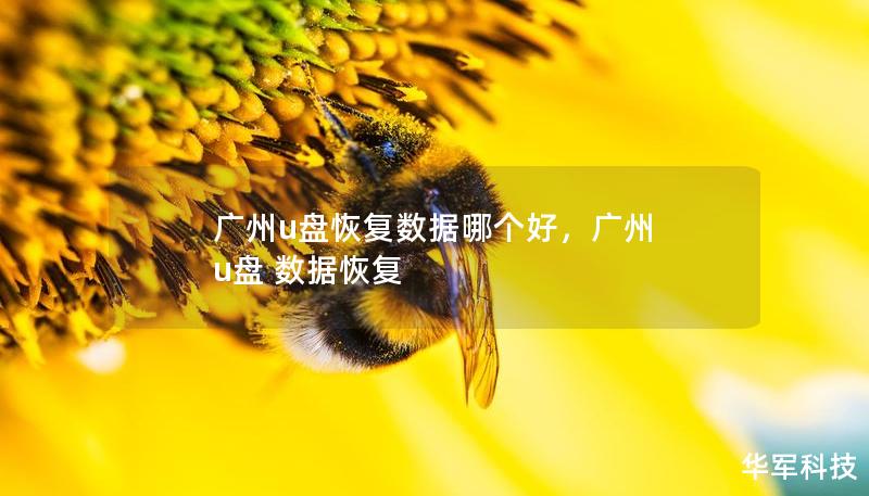 广州u盘恢复数据哪个好，广州 u盘 数据恢复