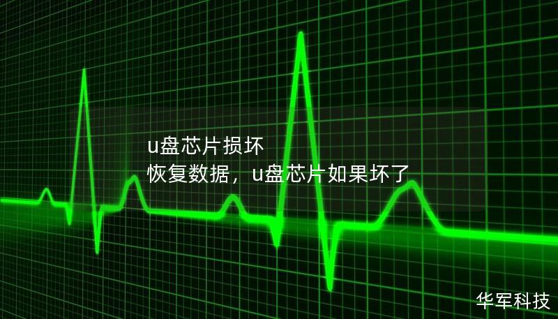u盘芯片损坏 恢复数据，u盘芯片如果坏了