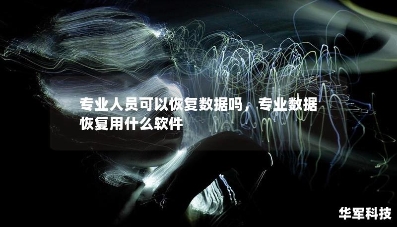 专业人员可以恢复数据吗，专业数据恢复用什么软件