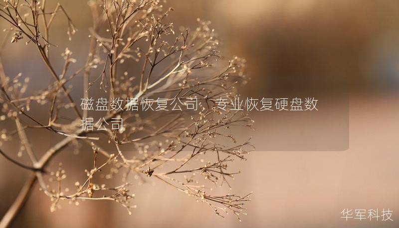 磁盘数据恢复公司,专业恢复硬盘数据公司 磁盘数据恢复公司,专业恢复硬盘数据公司