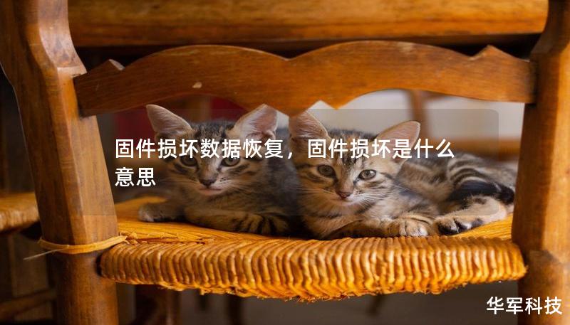 固件损坏数据恢复，固件损坏是什么意思