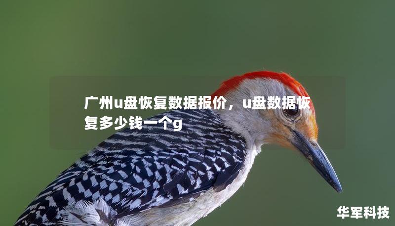 广州u盘恢复数据报价，u盘数据恢复多少钱一个g