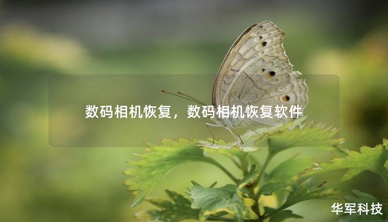 数码相机恢复，数码相机恢复软件