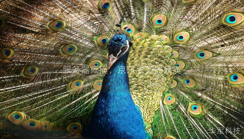 服务器瘫痪，京东服务器瘫痪