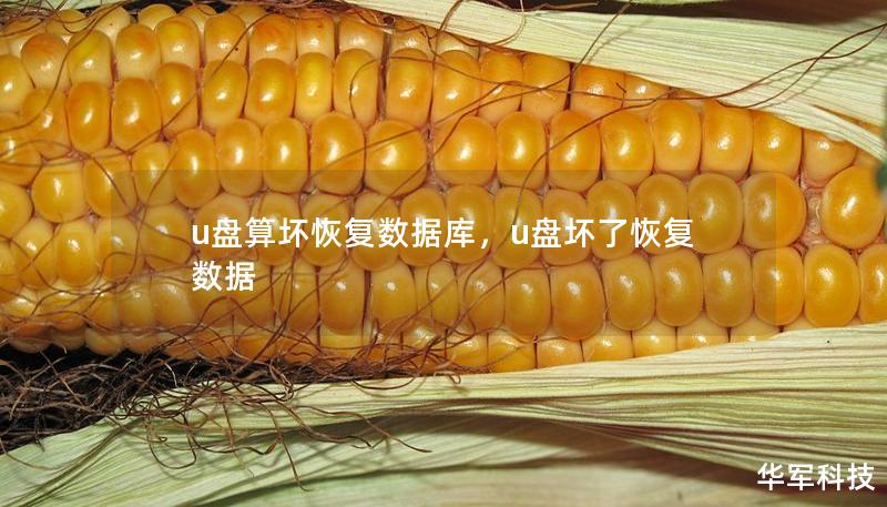 u盘算坏恢复数据库，u盘坏了恢复数据