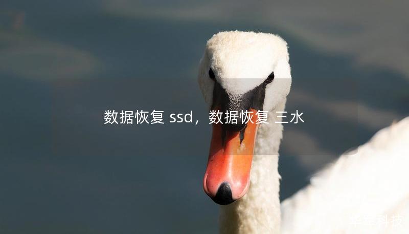 数据恢复 ssd,数据恢复 三水 数据恢复 ssd,数据恢复 三水