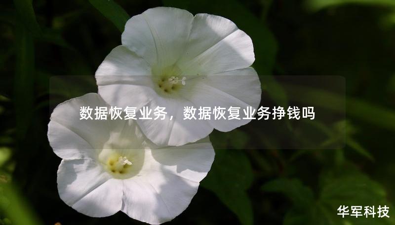 数据恢复业务，数据恢复业务挣钱吗