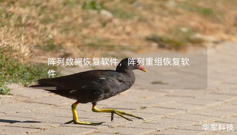 阵列数据恢复软件,阵列重组恢复软件 阵列数据恢复软件,阵列重组恢复软件