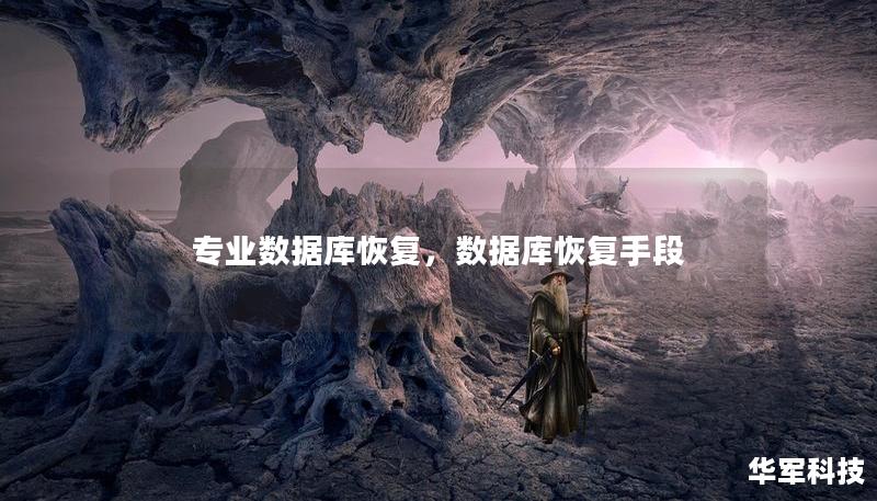专业数据库恢复，数据库恢复手段