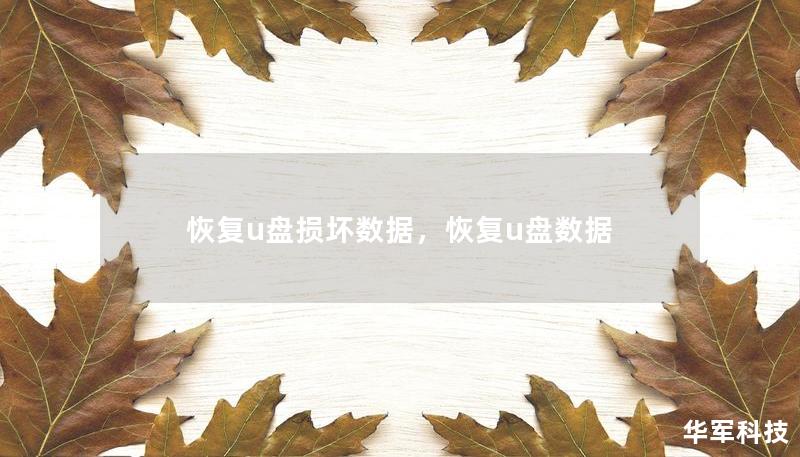 恢复u盘损坏数据,恢复u盘数据 恢复u盘损坏数据,恢复u盘数据