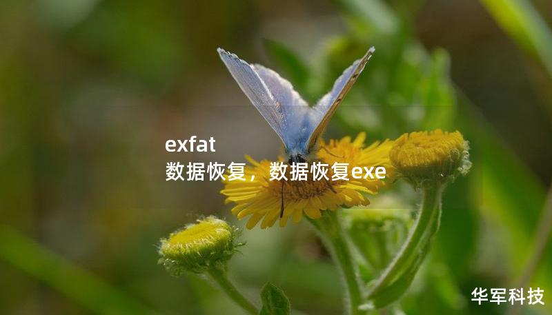 exfat 数据恢复,数据恢复exe exfat 数据恢复,数据恢复exe