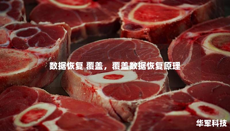 数据恢复 覆盖,覆盖数据恢复原理 数据恢复 覆盖,覆盖数据恢复原理