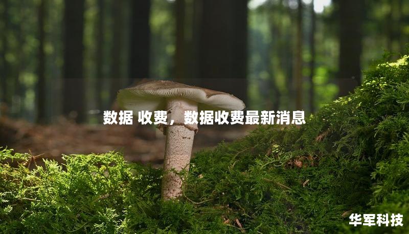数据 收费,数据收费最新消息 数据 收费,数据收费最新消息