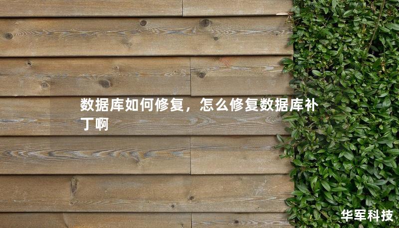数据库如何修复,怎么修复数据库补丁啊 数据库如何修复,怎么修复数据库补丁啊
