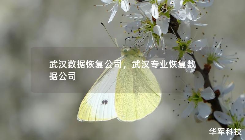 武汉数据恢复公司，武汉专业恢复数据公司