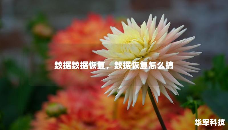数据数据恢复,数据恢复怎么搞 数据数据恢复,数据恢复怎么搞