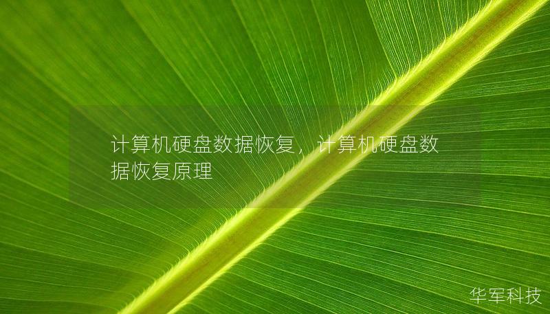 计算机硬盘数据恢复，计算机硬盘数据恢复原理