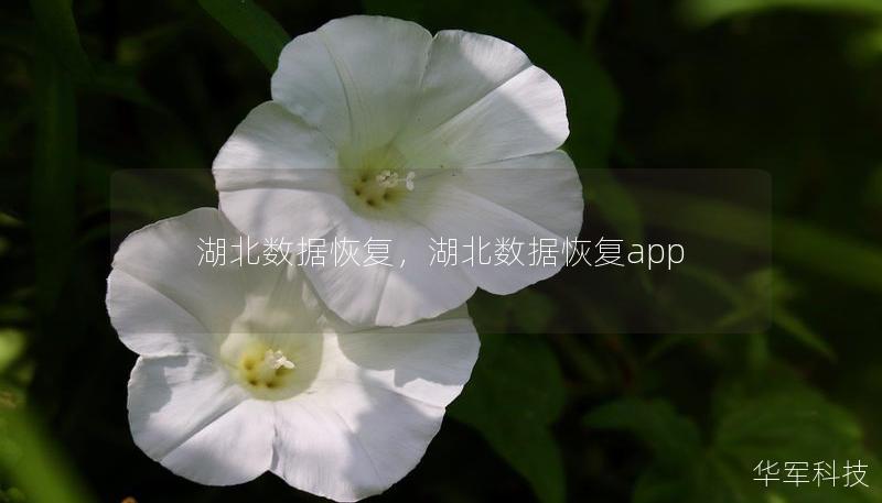 湖北数据恢复,湖北数据恢复app 湖北数据恢复,湖北数据恢复app