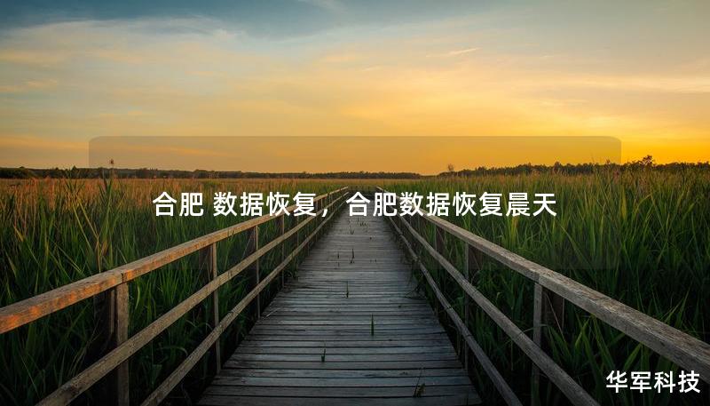 合肥 数据恢复,合肥数据恢复晨天 合肥 数据恢复,合肥数据恢复晨天