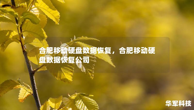 合肥移动硬盘数据恢复，合肥移动硬盘数据恢复公司