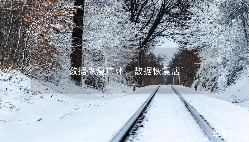 数据恢复广州，数据恢复店