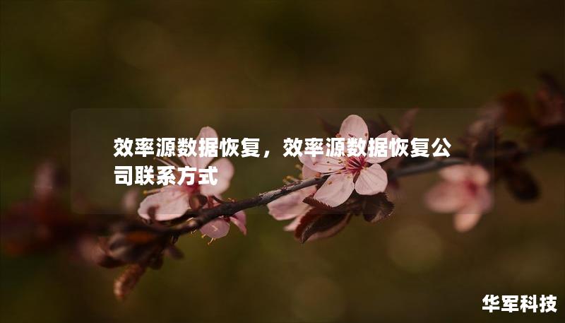 效率源数据恢复，效率源数据恢复公司联系方式