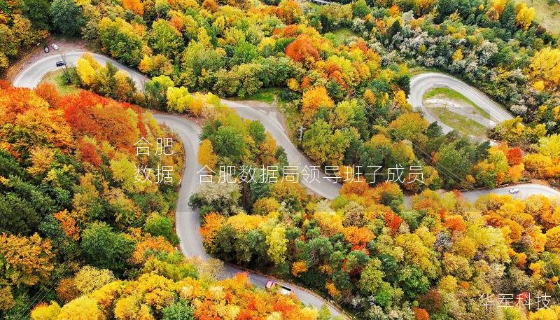 合肥 数据，合肥数据局领导班子成员