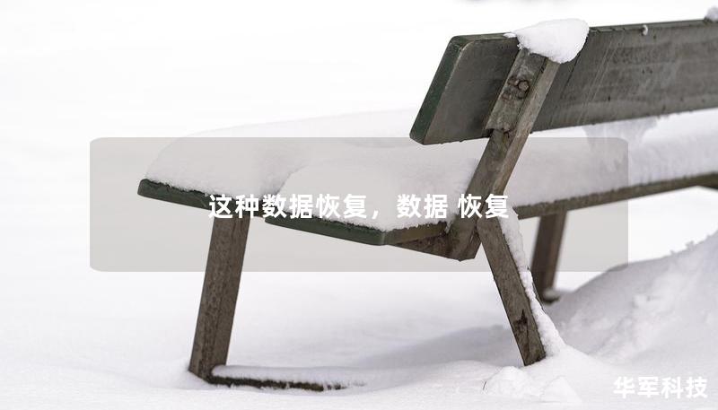 这种数据恢复,数据 恢复 这种数据恢复,数据 恢复