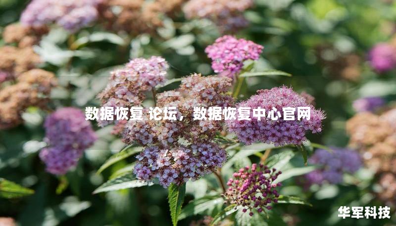 数据恢复 论坛，数据恢复中心官网