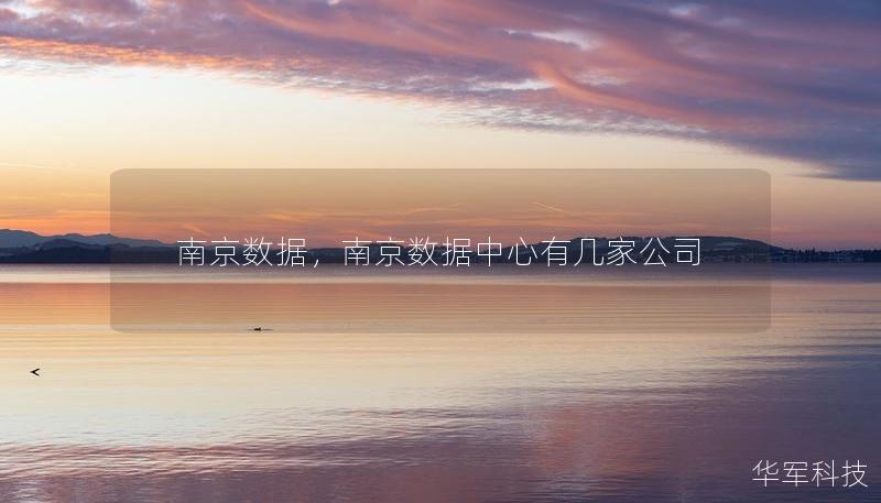 南京数据,南京数据中心有几家公司 南京数据,南京数据中心有几家公司