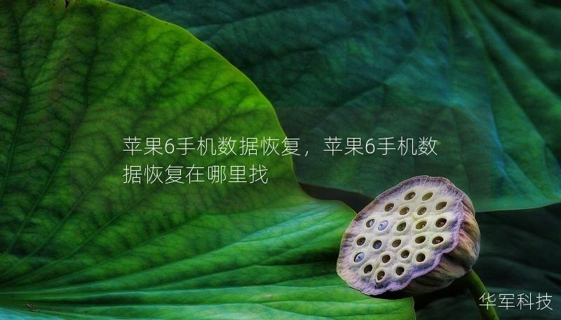 苹果6手机数据恢复,苹果6手机数据恢复在哪里找 苹果6手机数据恢复,苹果6手机数据恢复在哪里找