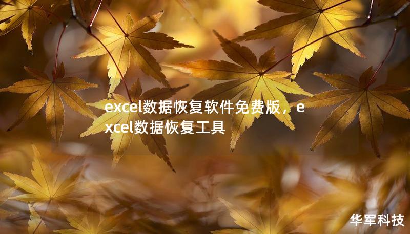 excel数据恢复软件免费版,excel数据恢复工具 excel数据恢复软件免费版,excel数据恢复工具