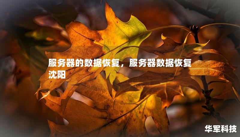 服务器的数据恢复，服务器数据恢复 沈阳