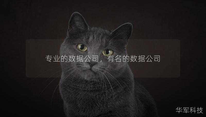 专业的数据公司，有名的数据公司