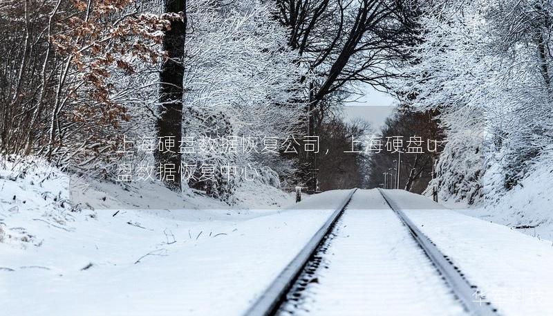 上海硬盘数据恢复公司，上海硬盘u盘数据恢复中心