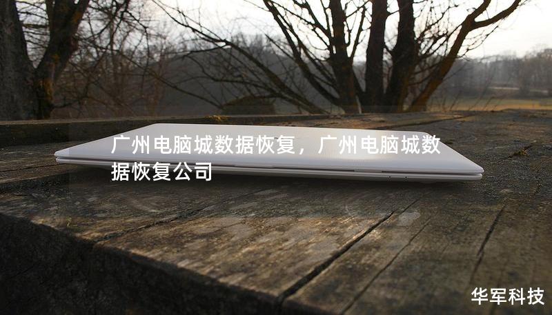 广州电脑城数据恢复，广州电脑城数据恢复公司