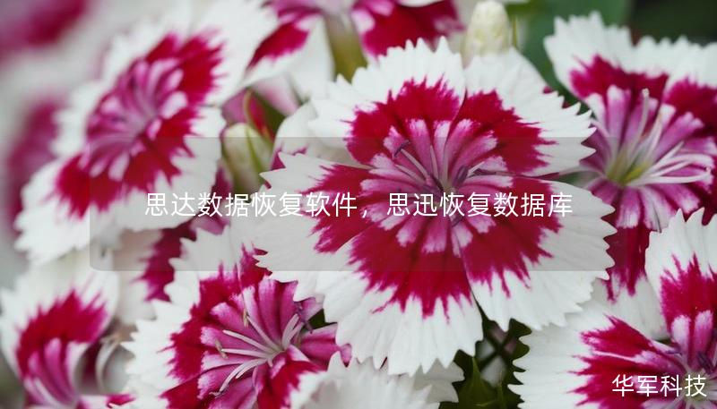 思达数据恢复软件，思迅恢复数据库