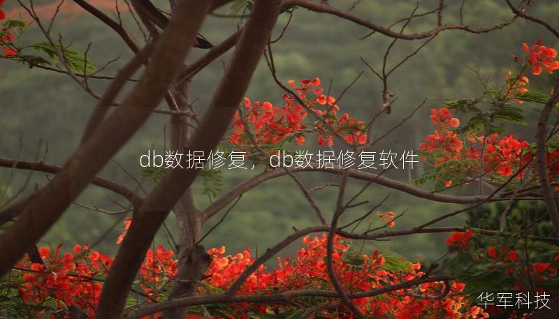 db数据修复，db数据修复软件