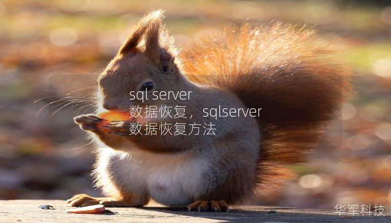 sql server 数据恢复，sqlserver 数据恢复方法