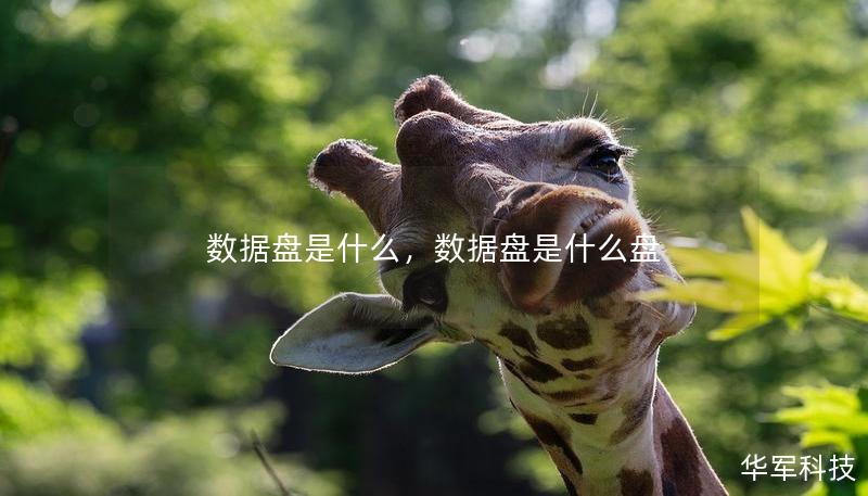 数据盘是什么,数据盘是什么盘 数据盘是什么,数据盘是什么盘