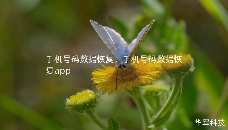 手机号码数据恢复，手机号码数据恢复app